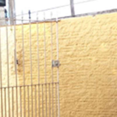 IMG_20241217_180353-1